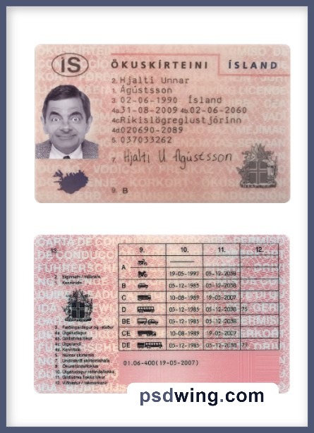 Iceland Driving License